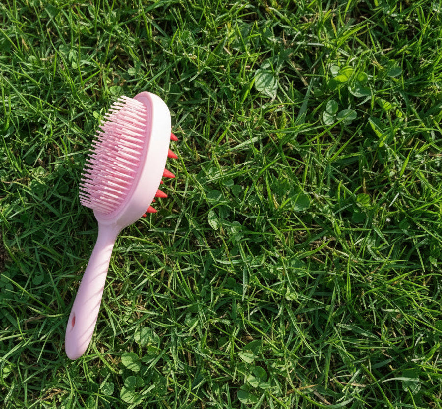 Hair Brush